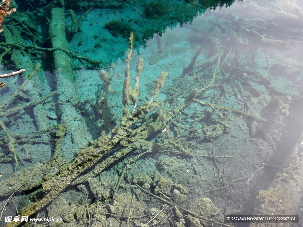 水下沉船遗迹景观
