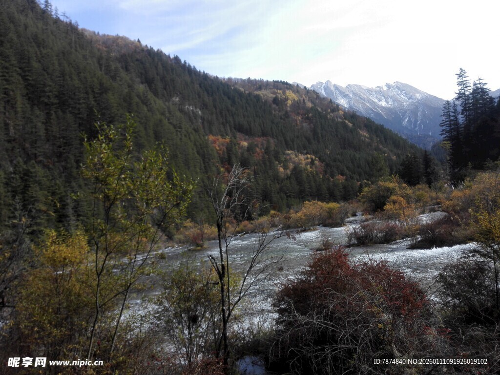 山间溪流旁的多彩景致