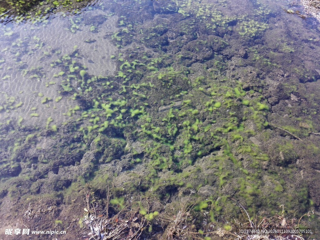 空中俯瞰绿意盎然水域