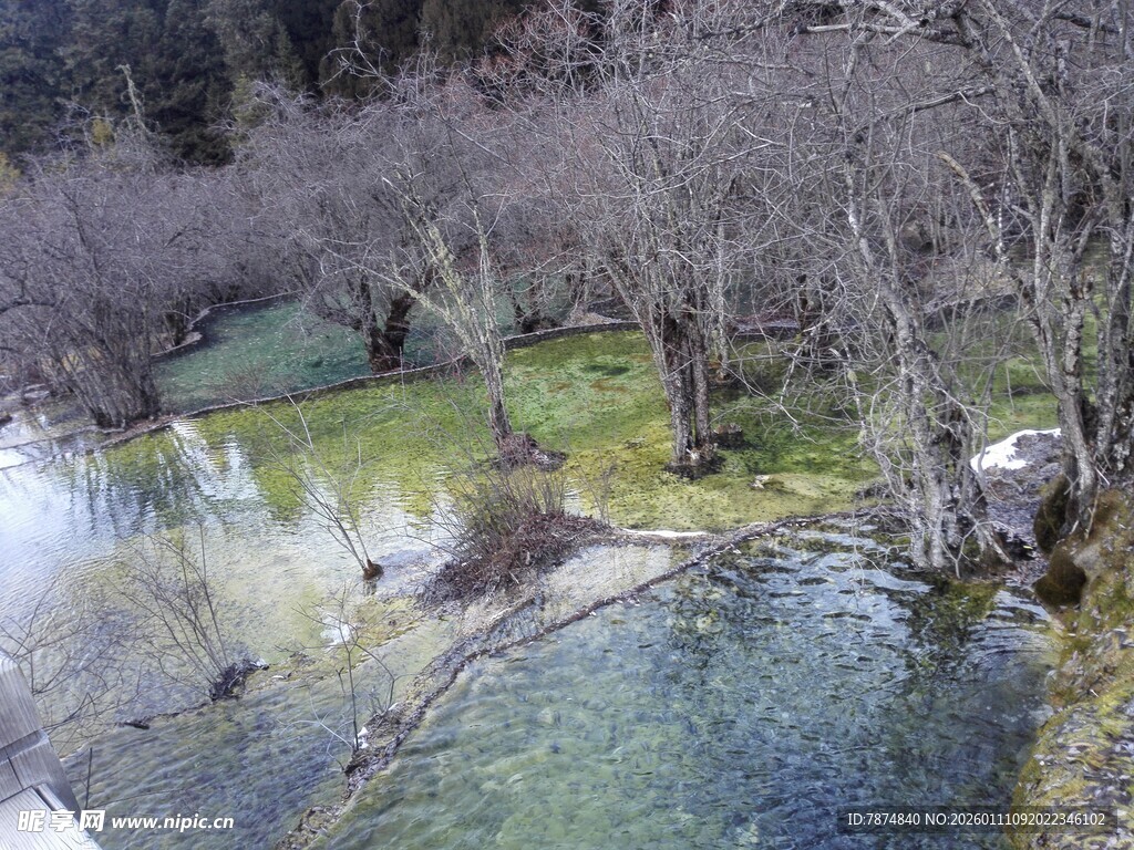 山间清澈溪流旁的自然景致