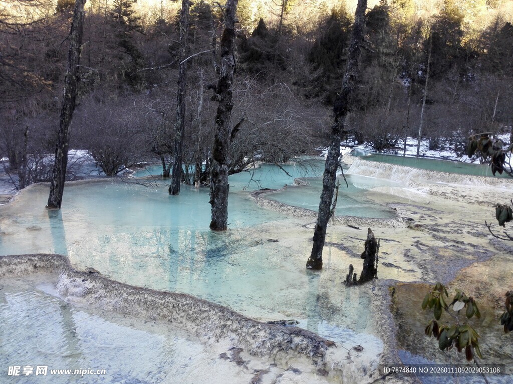 梦幻蓝绿色枯树温泉景观