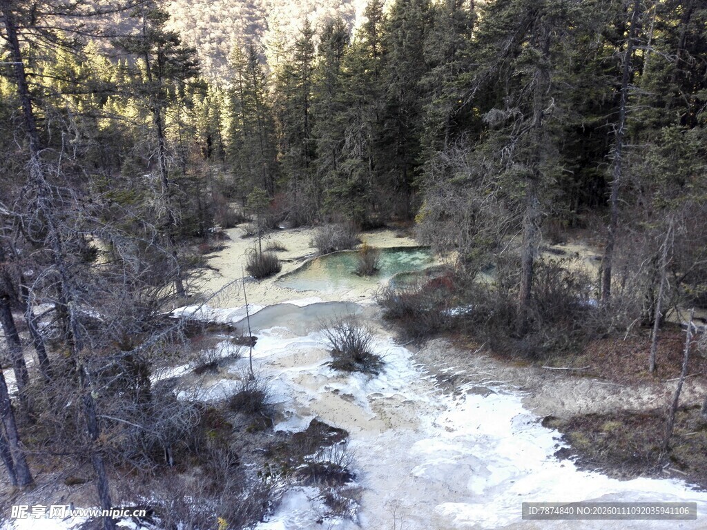 山间溪流穿林而过