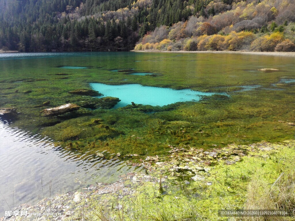 清澈湖景与岸边葱郁植被