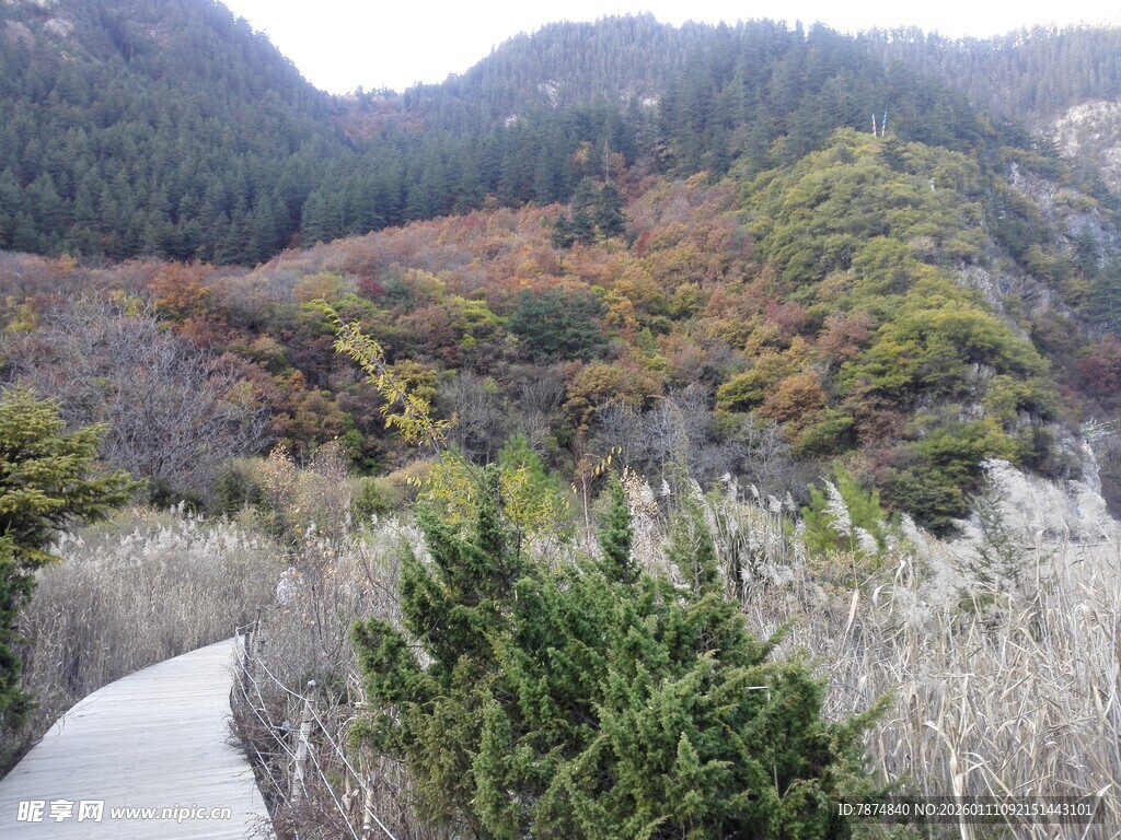 山间秋色小径美景