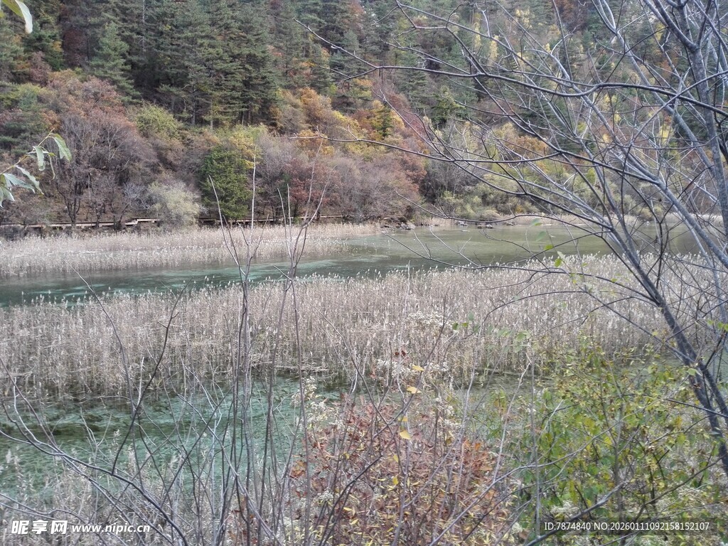 秋日山间湿地景色