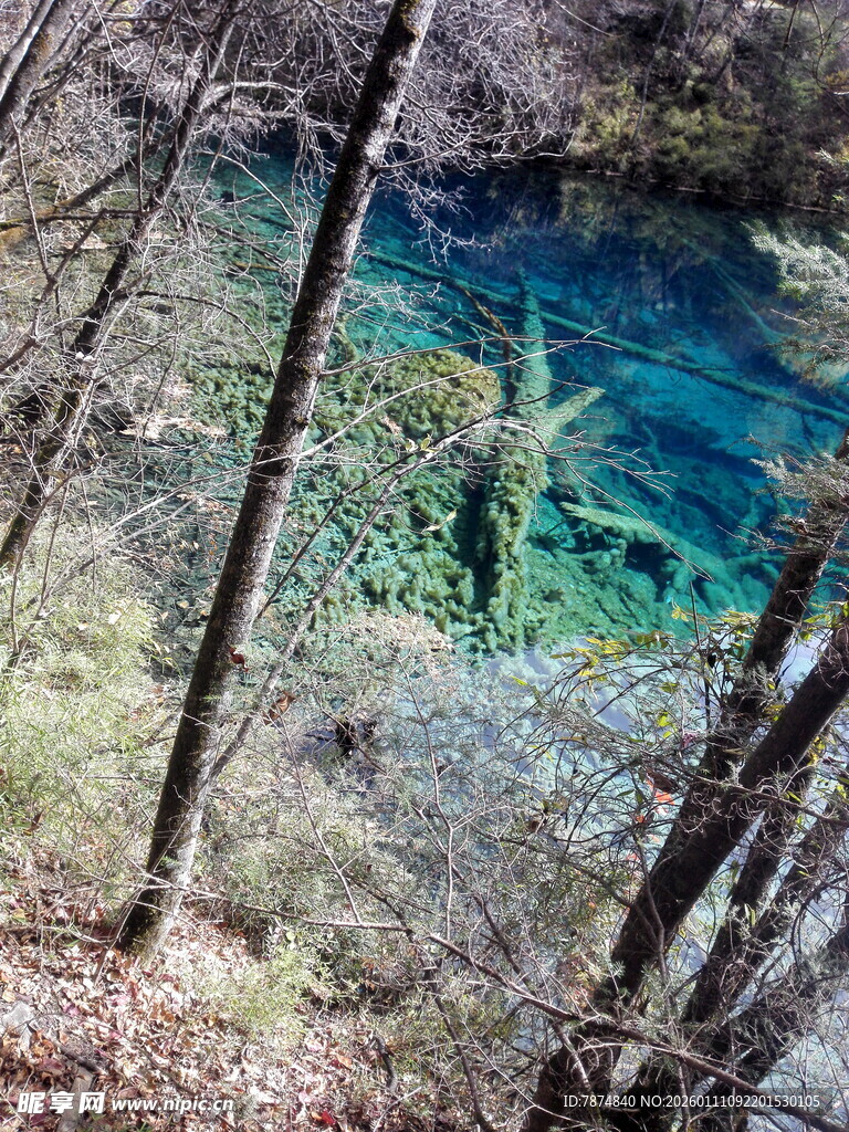 山林间的幽蓝澄澈潭水