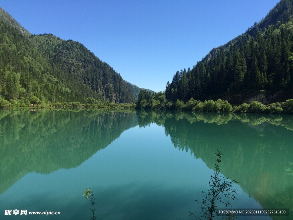 碧绿湖水映山林美景