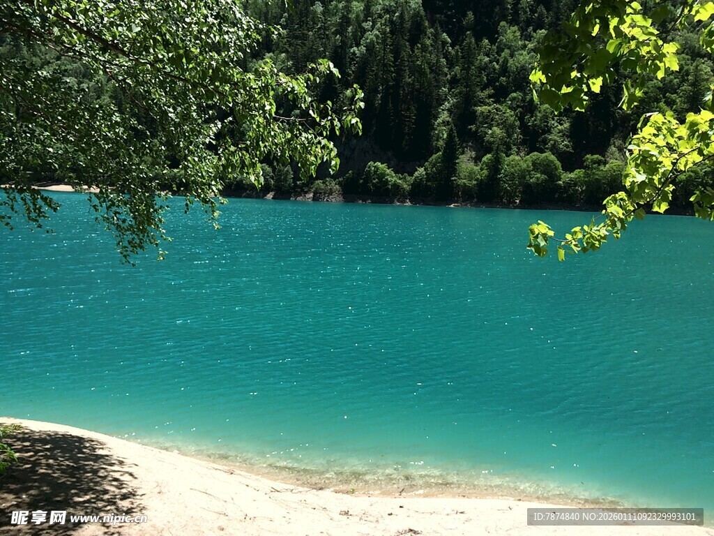 蓝绿色湖水边的葱郁景致