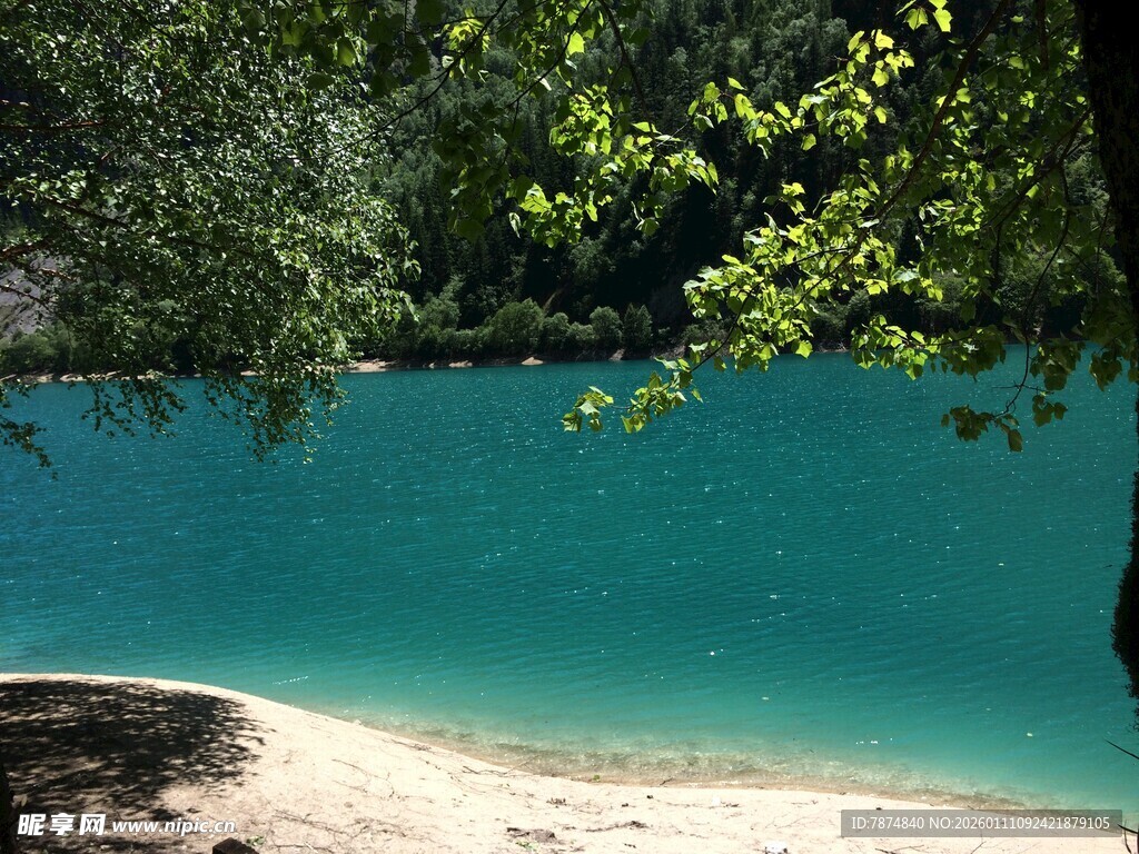 清澈蓝湖旁的葱郁树林