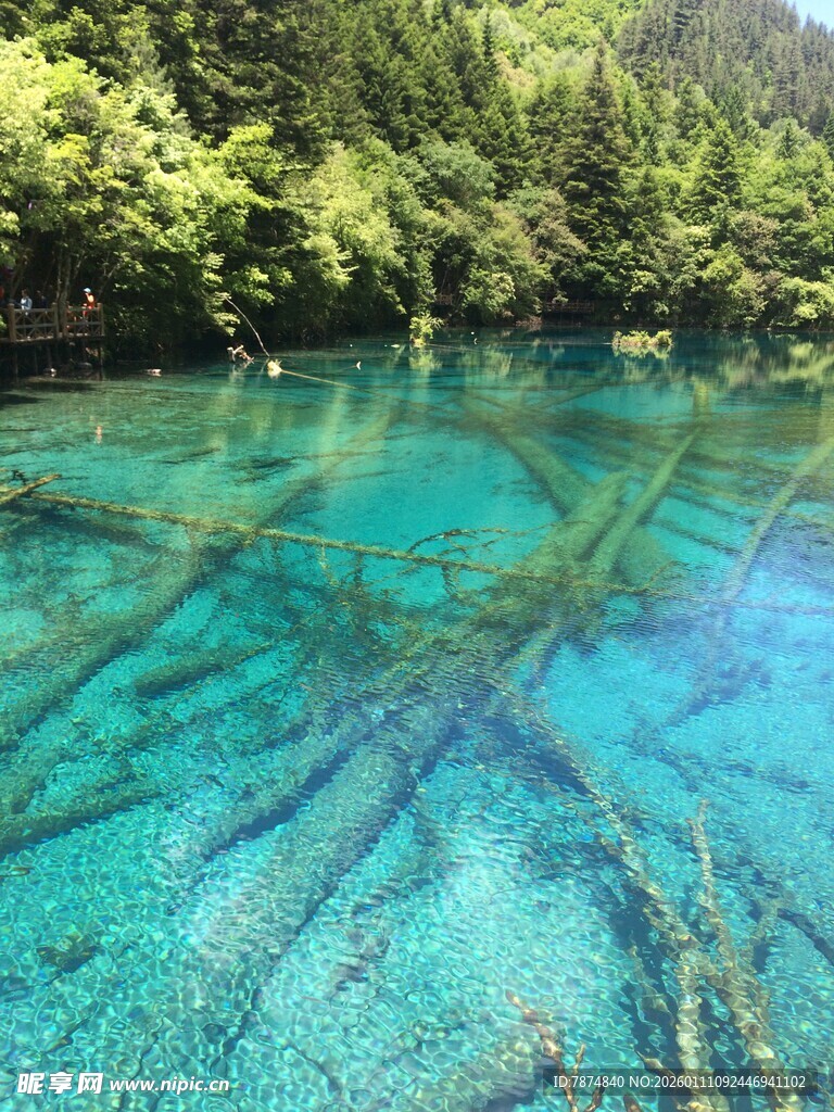 清澈幽蓝的森林湖泊美景