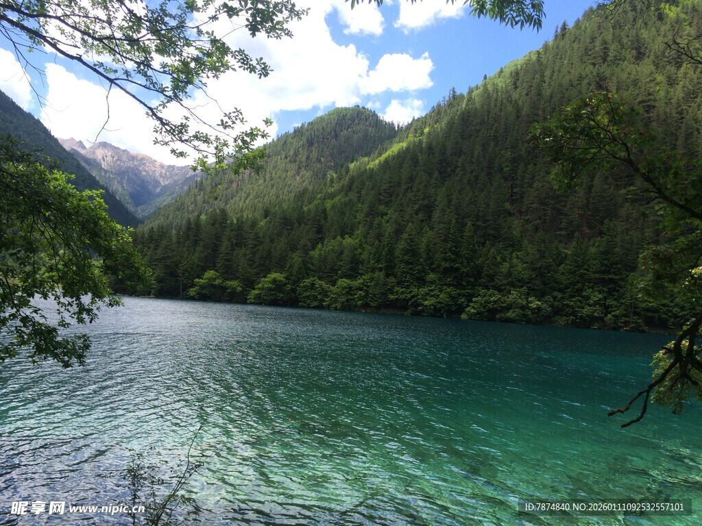 翠绿山林间的澄澈湖水