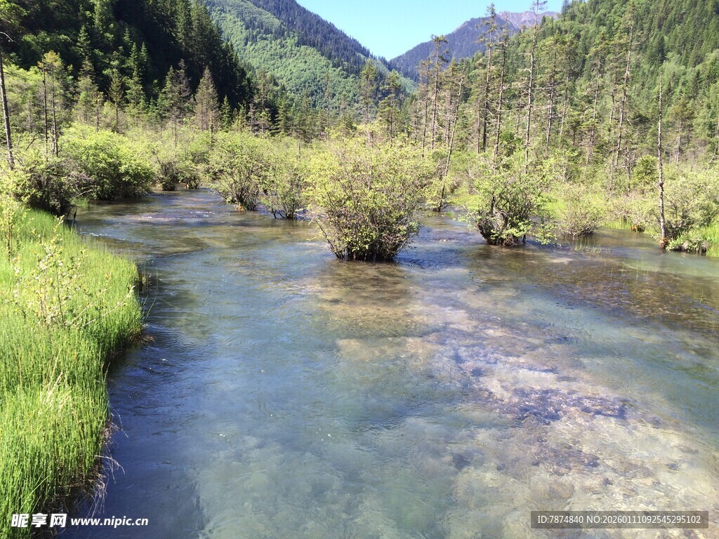 山间清澈溪流 绿意盎然