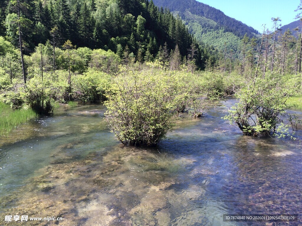 山间清澈溪流与葱郁植被
