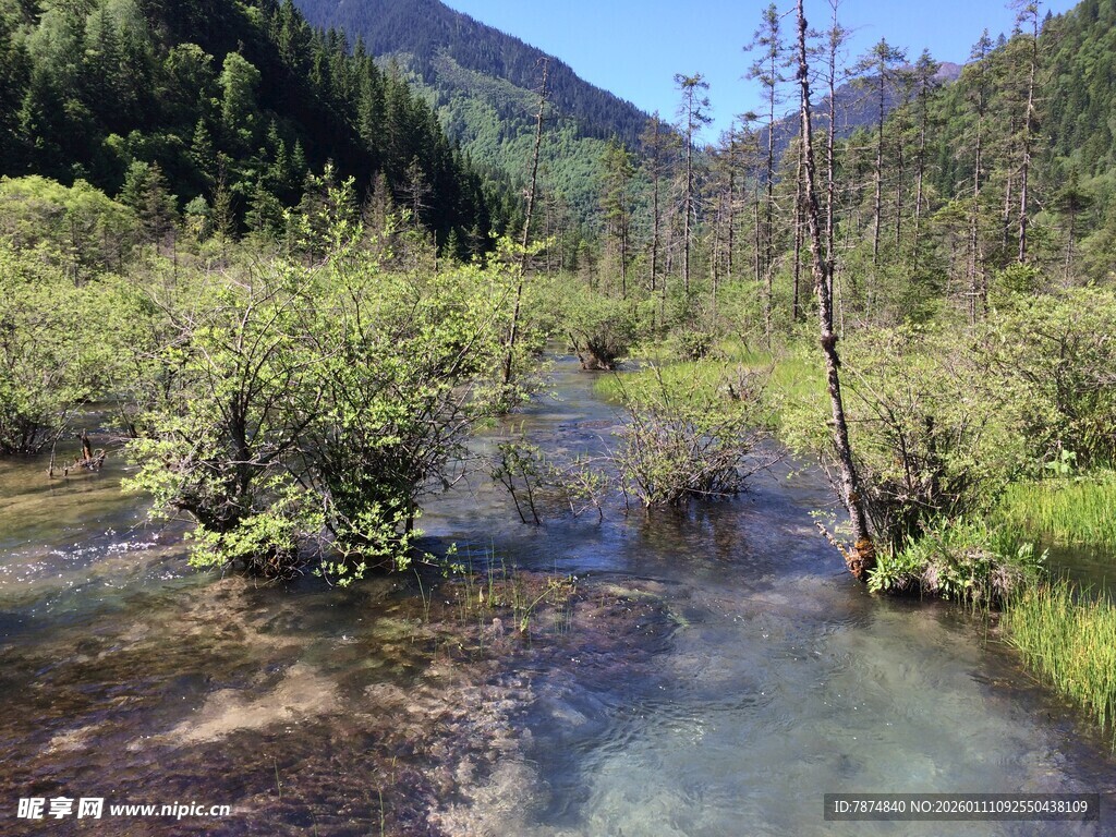 山间清澈溪流与繁茂植被