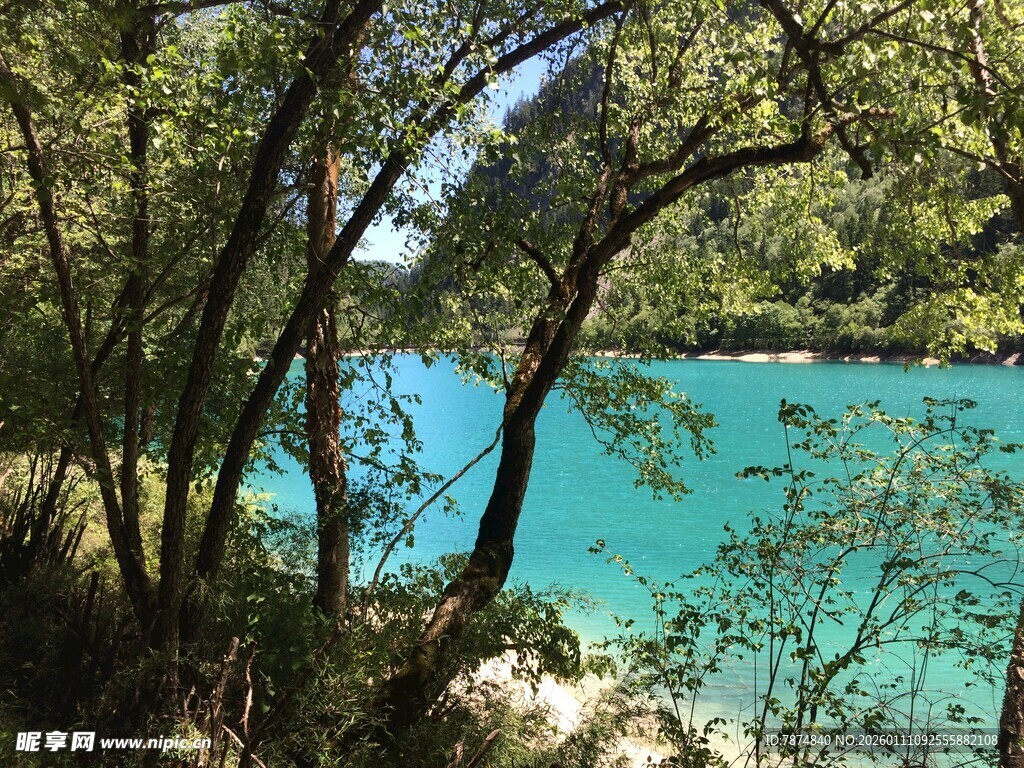 林间幽蓝湖水美景