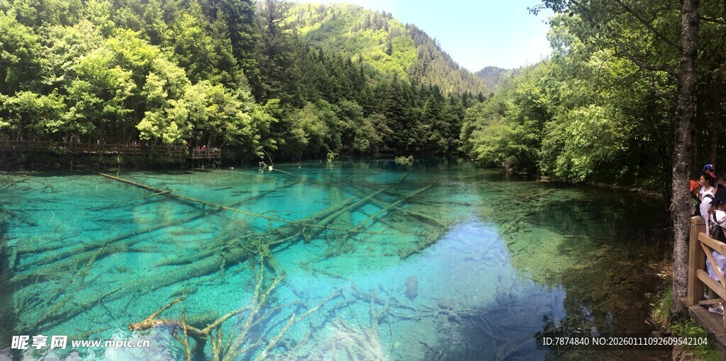 清澈碧绿的山间河流美景