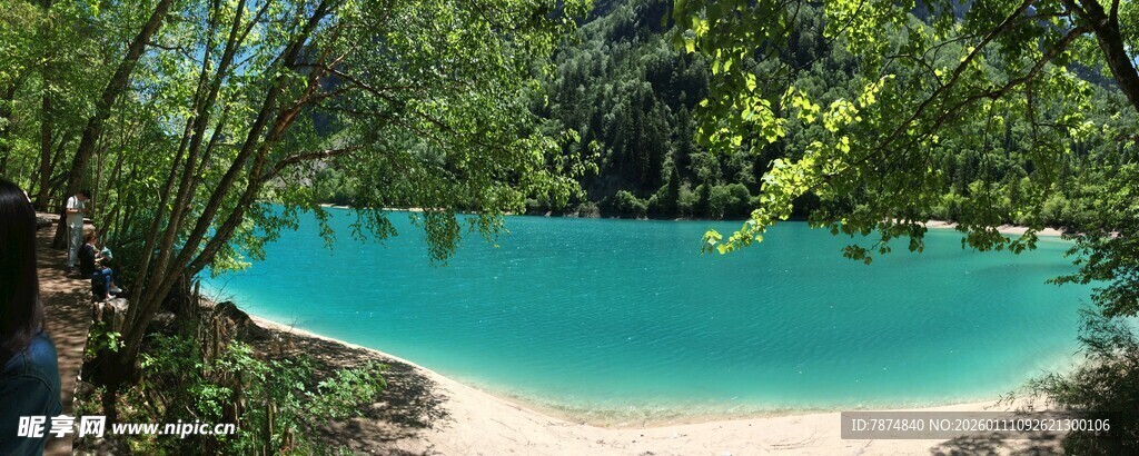 清澈蓝湖旁的葱郁树林