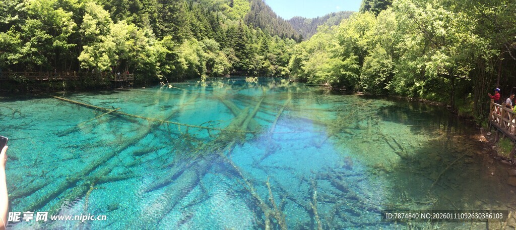 清澈碧绿的山间幽美河流