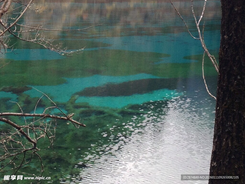 九寨沟清澈湖水与瀑布