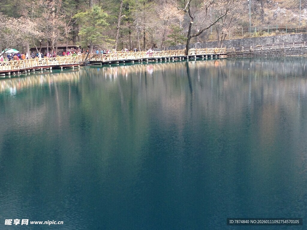 宁静湖水旁的春日景致