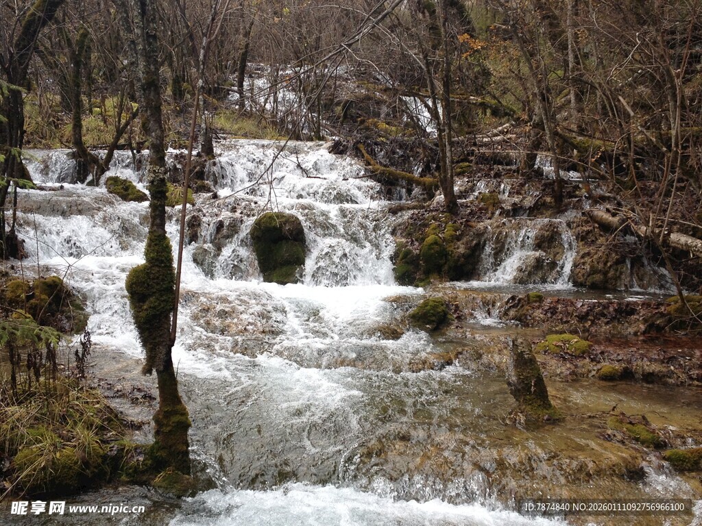 山间溪流潺潺之美景