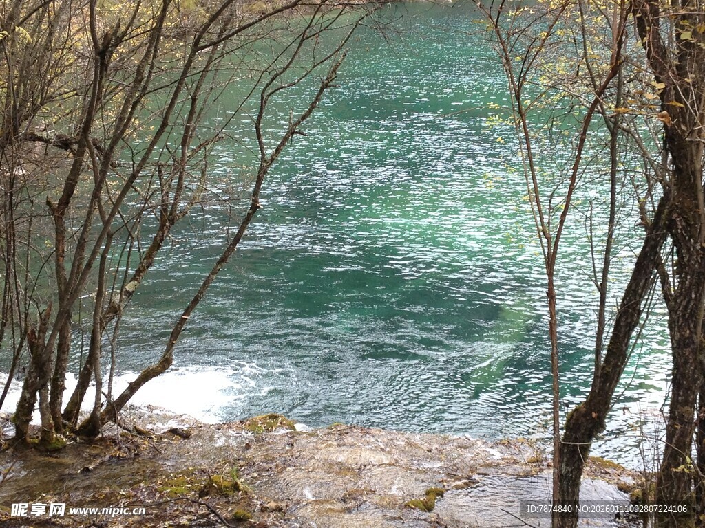 林间湖畔 碧波荡漾之景