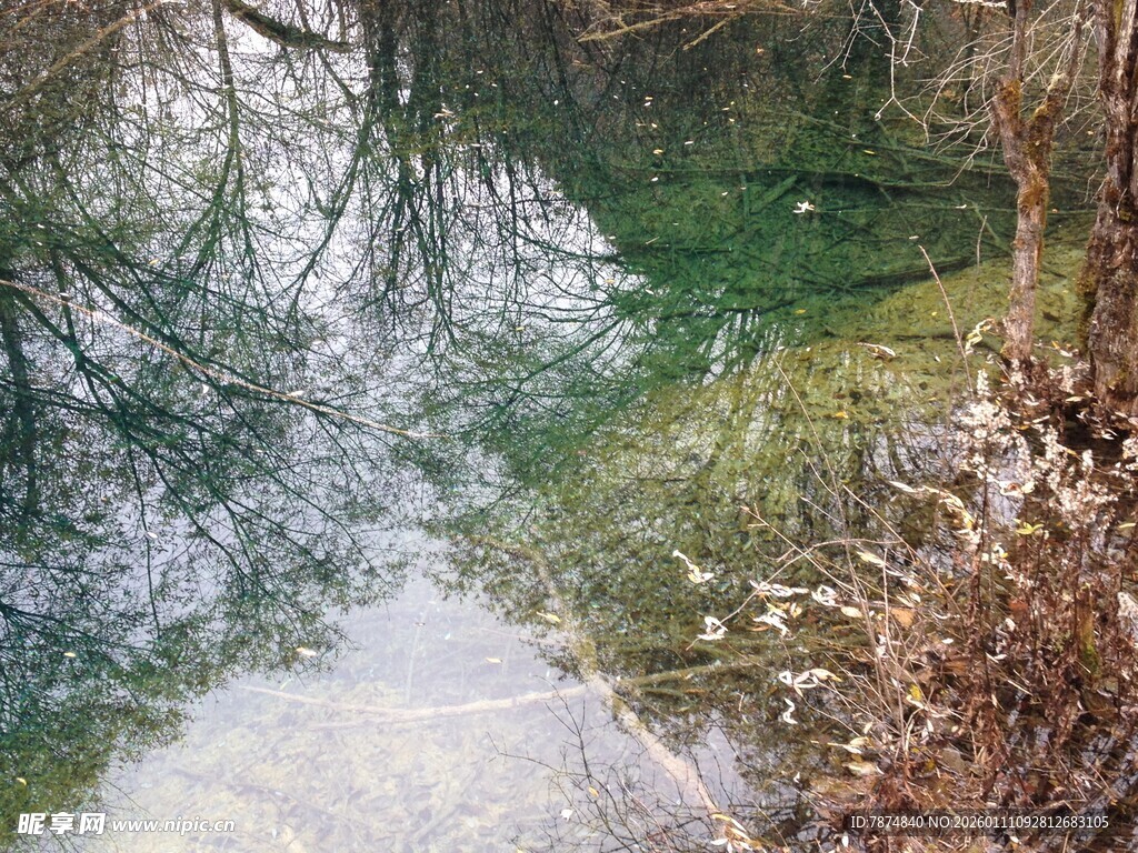山间溪流 冬日静谧之景