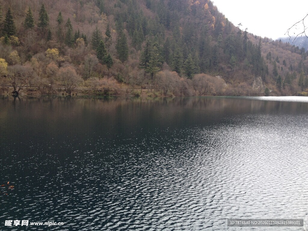 宁静山林间的静谧湖水