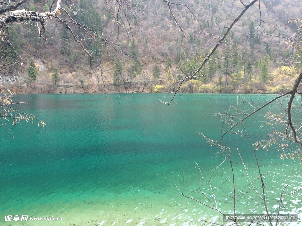 碧绿湖水与山林美景