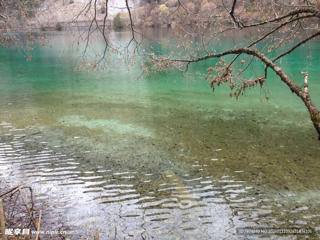 清澈碧绿的自然水域景观