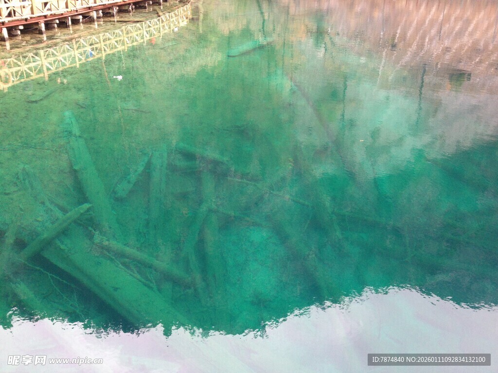 清澈水下的沉船遗迹