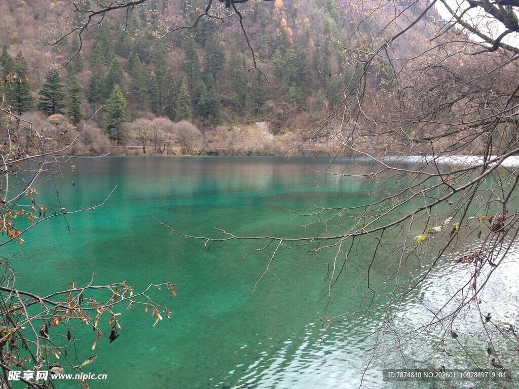 碧绿湖水映山林美景