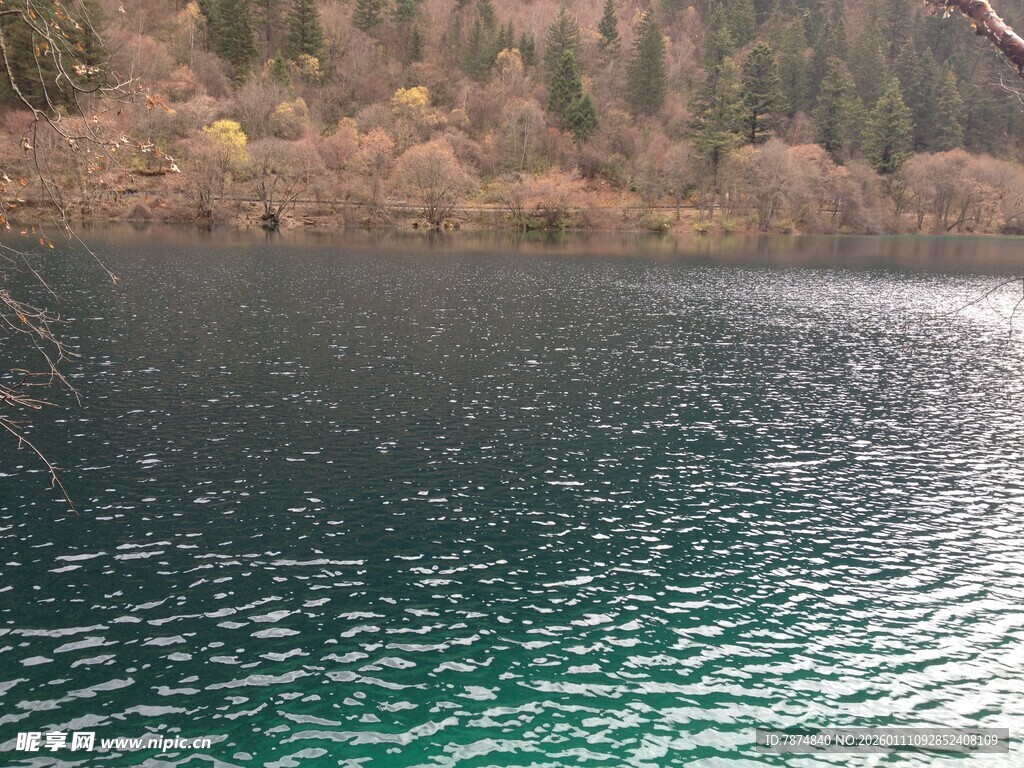 静谧幽蓝湖泊与岸边树林