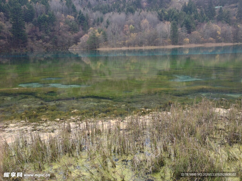 宁静湖畔自然风光