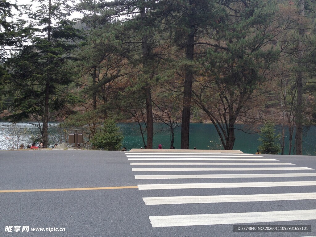 林间公路的斑马线景观