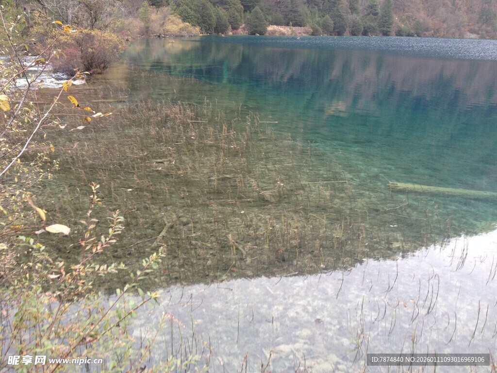 清澈湖水与岸边植被景观