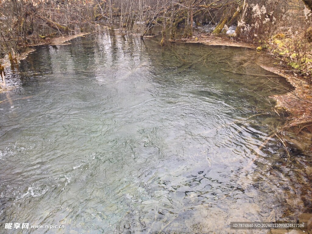 清澈溪流 自然静谧之景