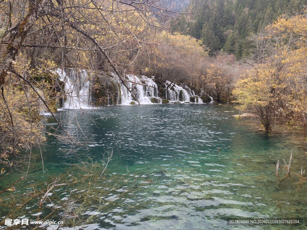 秋日山林中的清澈瀑布