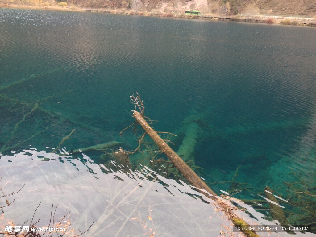 清澈湖水中的漂浮物