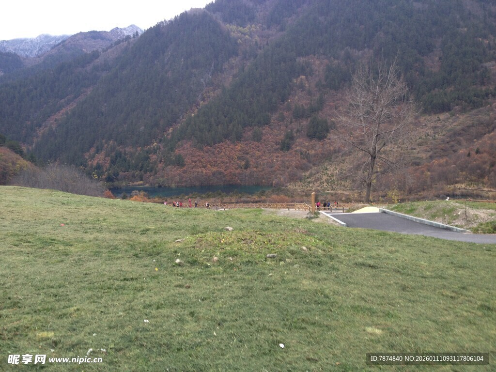山间草地与蜿蜒道路景色