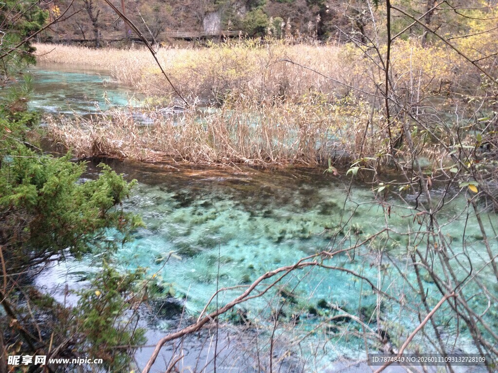 清澈蓝绿色溪流风景