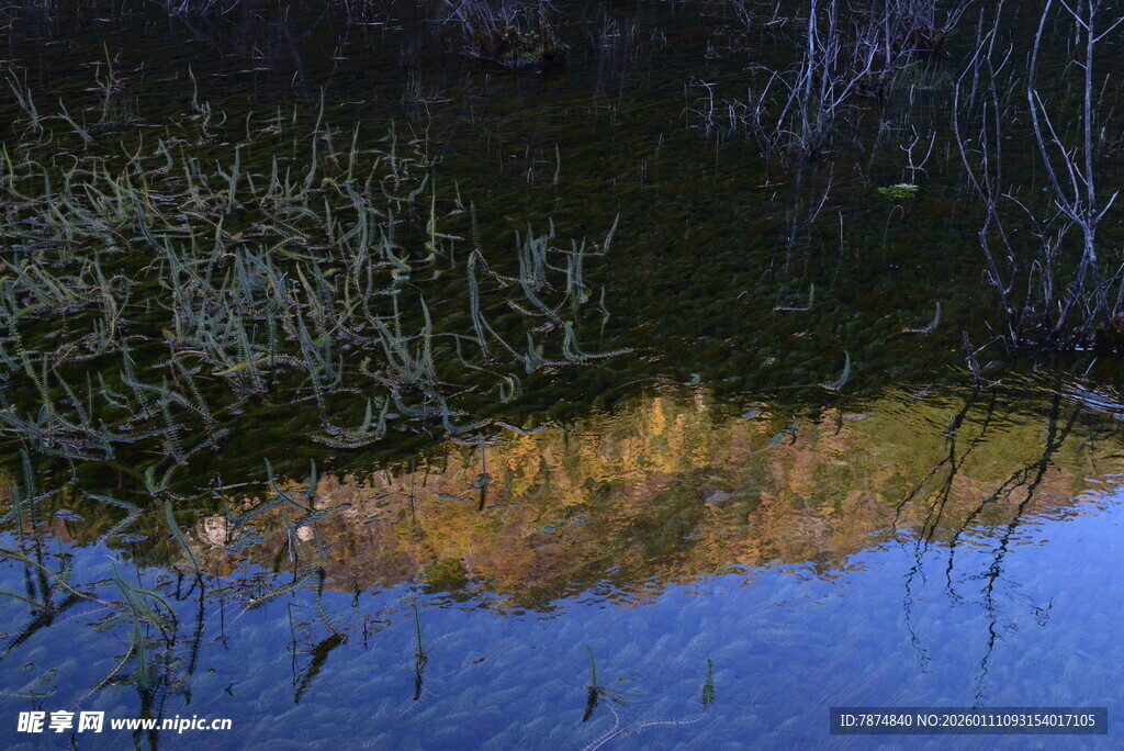 湖畔草木倒影 静谧风光