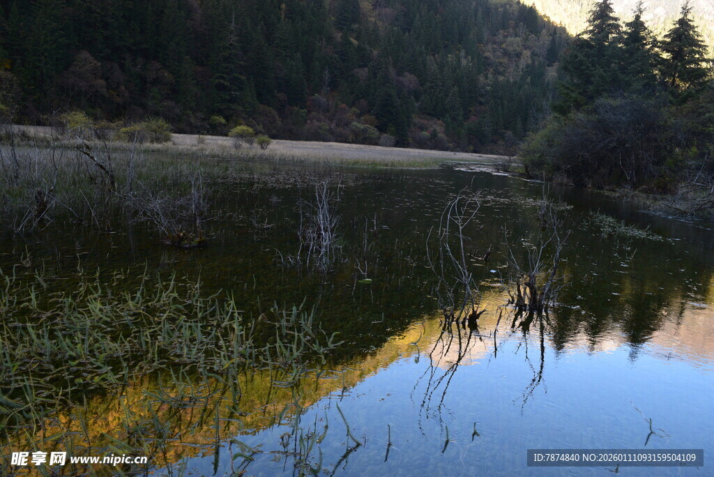 宁静湖畔山林倒影美景