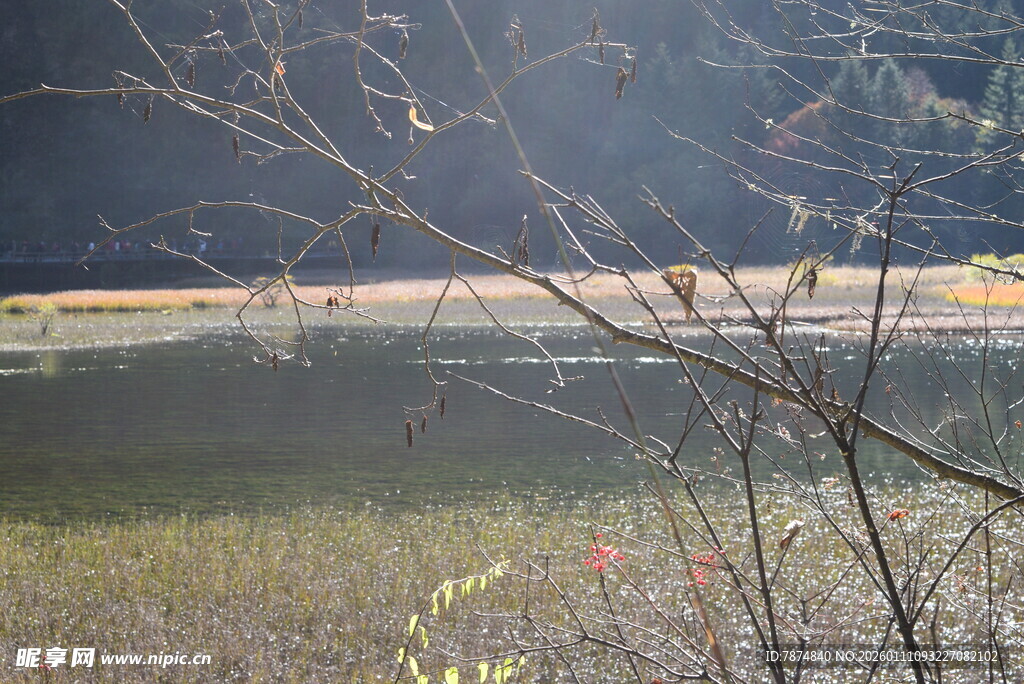 山林间的开阔水域景色