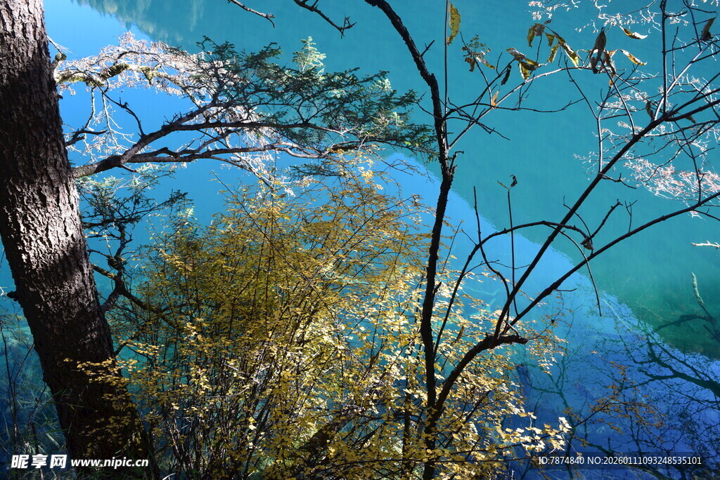 湖畔树影 碧水蓝天景致