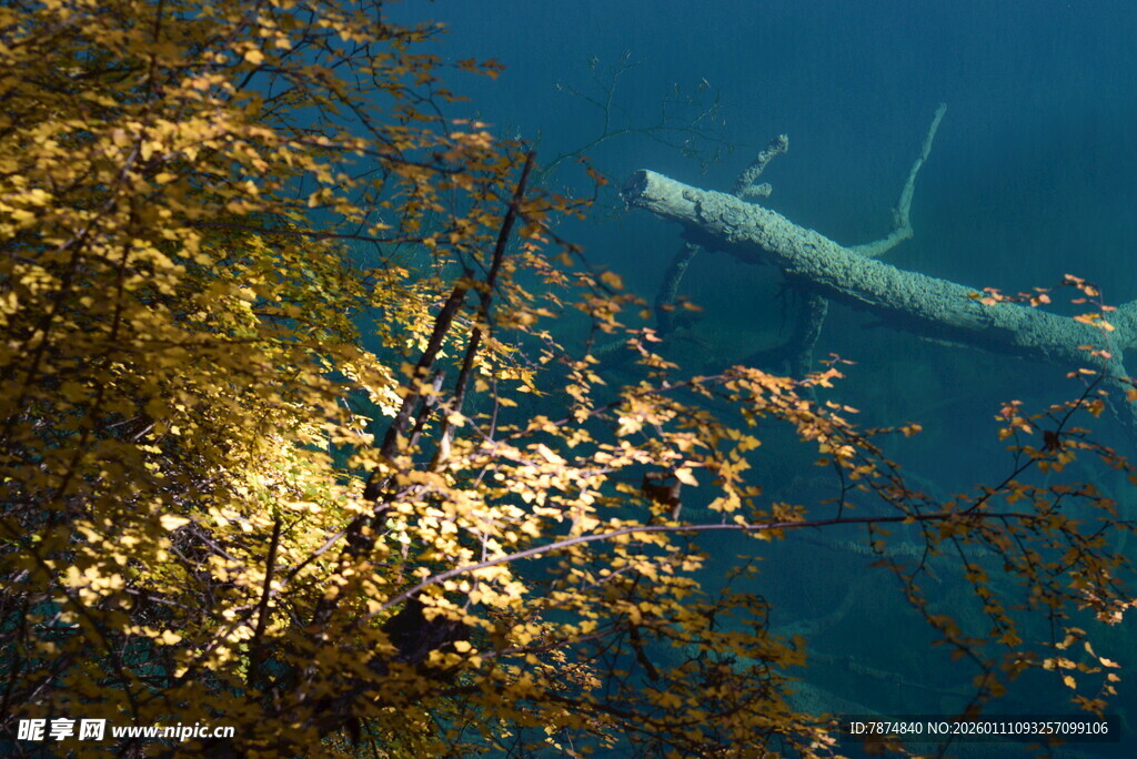 水下沉船与岸边黄叶景观