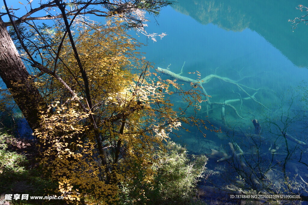 清澈湖景与岸边斑斓树木