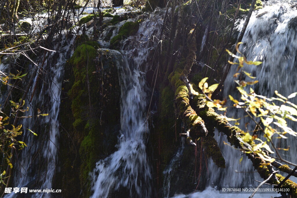山间瀑布与金黄枝叶景观