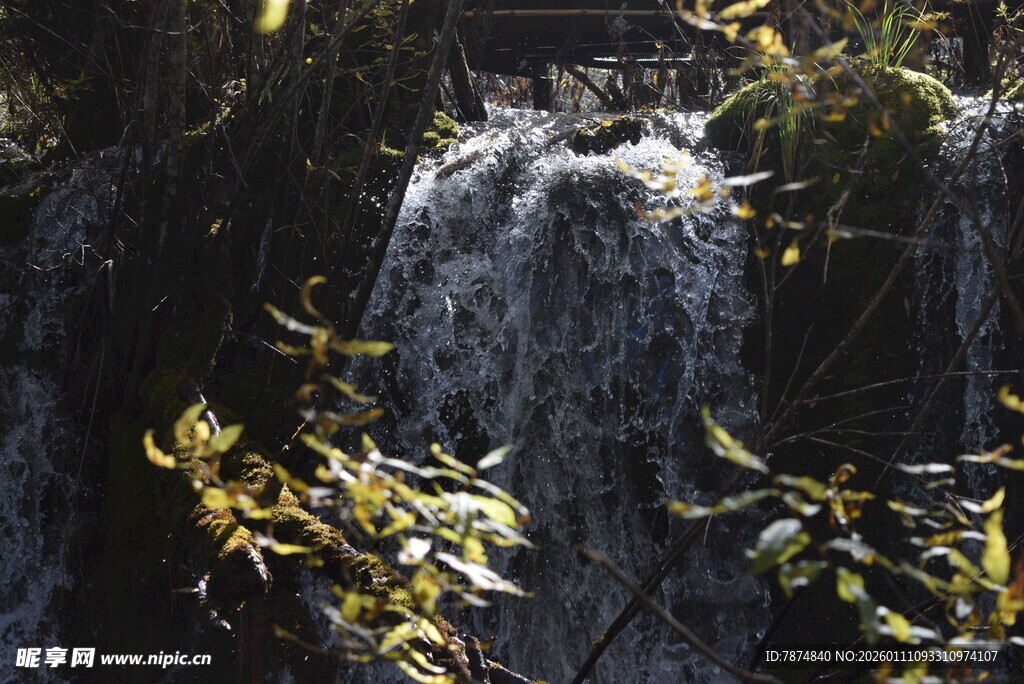 山间瀑布与繁茂枝叶