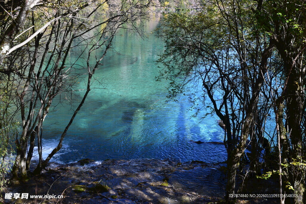 森林中的幽蓝澄澈湖水